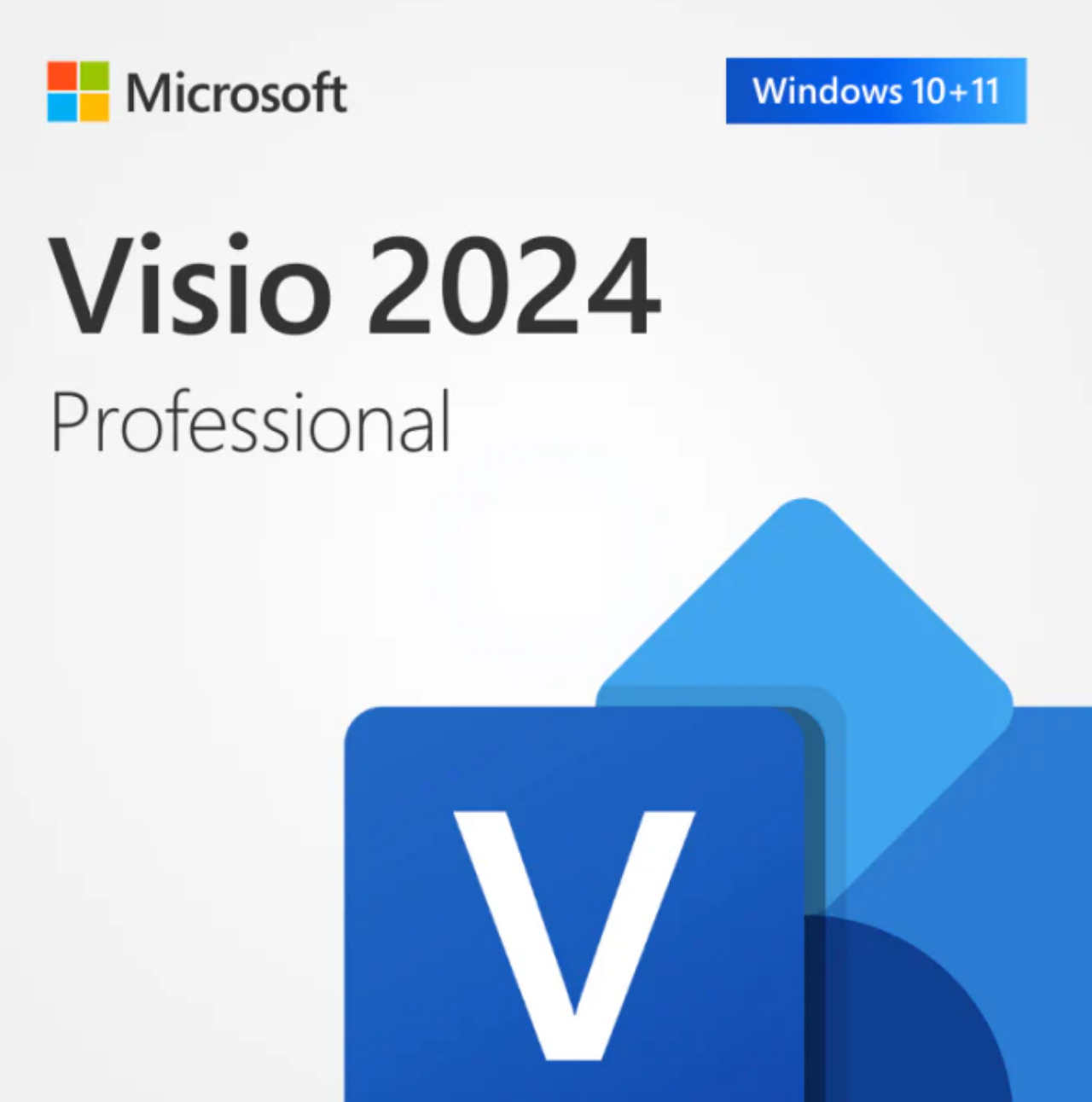 Visio 2024 Professional Bind Key