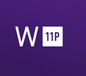 Win 11 Professional OEM product Pro Key